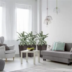 Jardinières Outsunny En Plastique Brun De 14,25 Po L. X 24 Po H., Ensemble De 3 -Outsunny 331014270 AlternateImage3 l