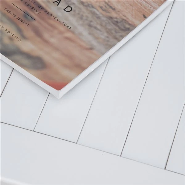 Banc Blanc à Deux Places Par Outsunny De 48,5 Po X 38,25 Po 6 Banc Blanc à Deux Places Par Outsunny De 48,5 Po X 38,25 Po – Image 4